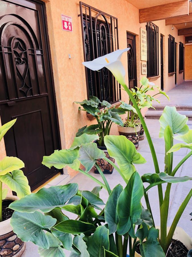 Hotel Posada San Jorge Bernal Εξωτερικό φωτογραφία